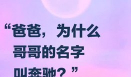 纯属娱乐爆料是真的吗,真相揭秘，是真是假？